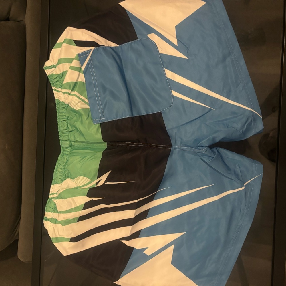 Men's Blue and Green Swim Trunks